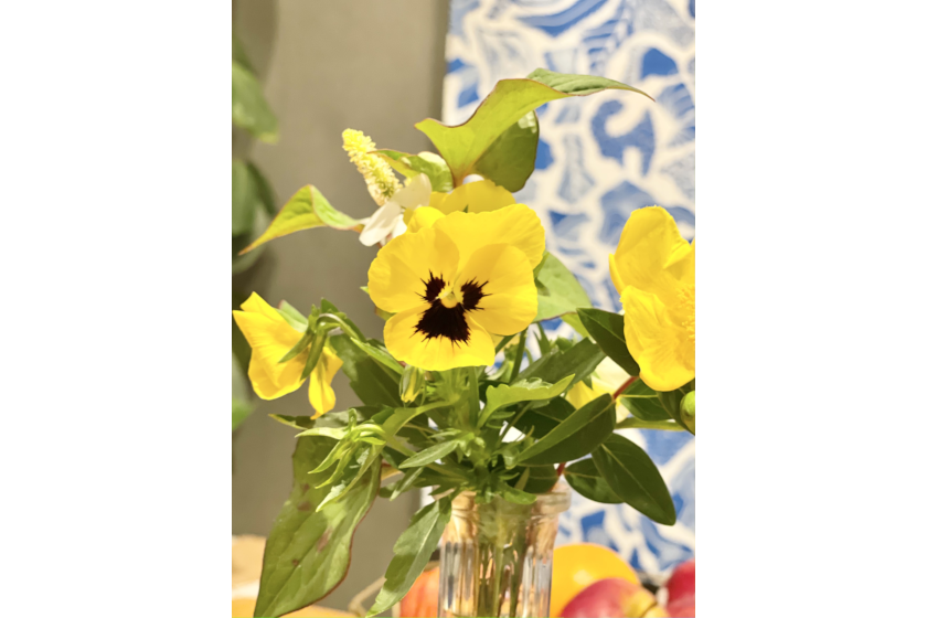 黄色いパンジーの花
