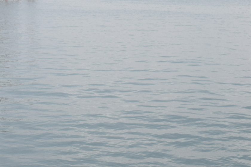 海